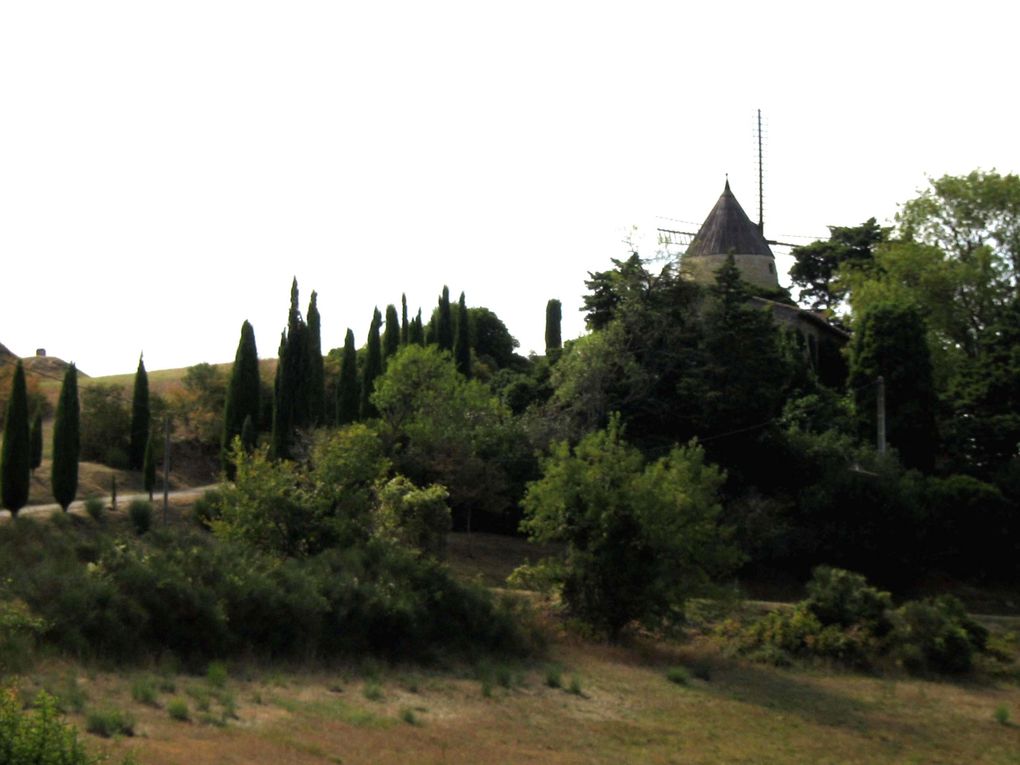 Pennautier, l'Aude, Carcassonne et ses environs... le canal du Midi... Les photos de ma région d'adoption.