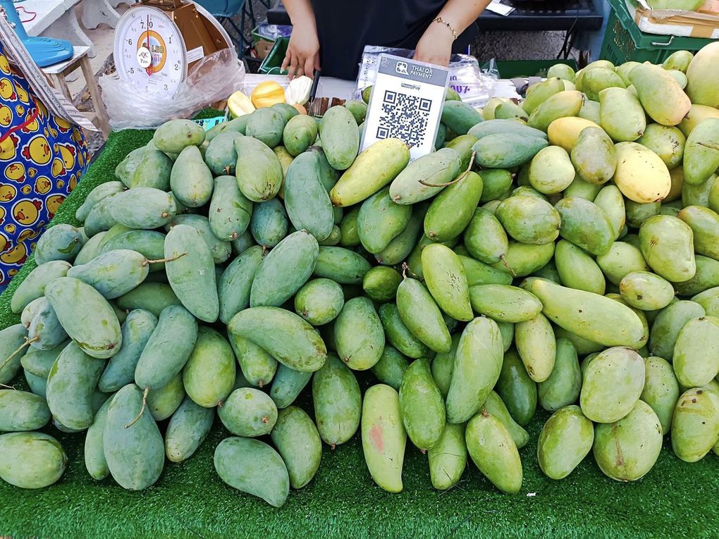 Mangue R2 E2 (et autres variétés) - Fruits de saison (24-06)