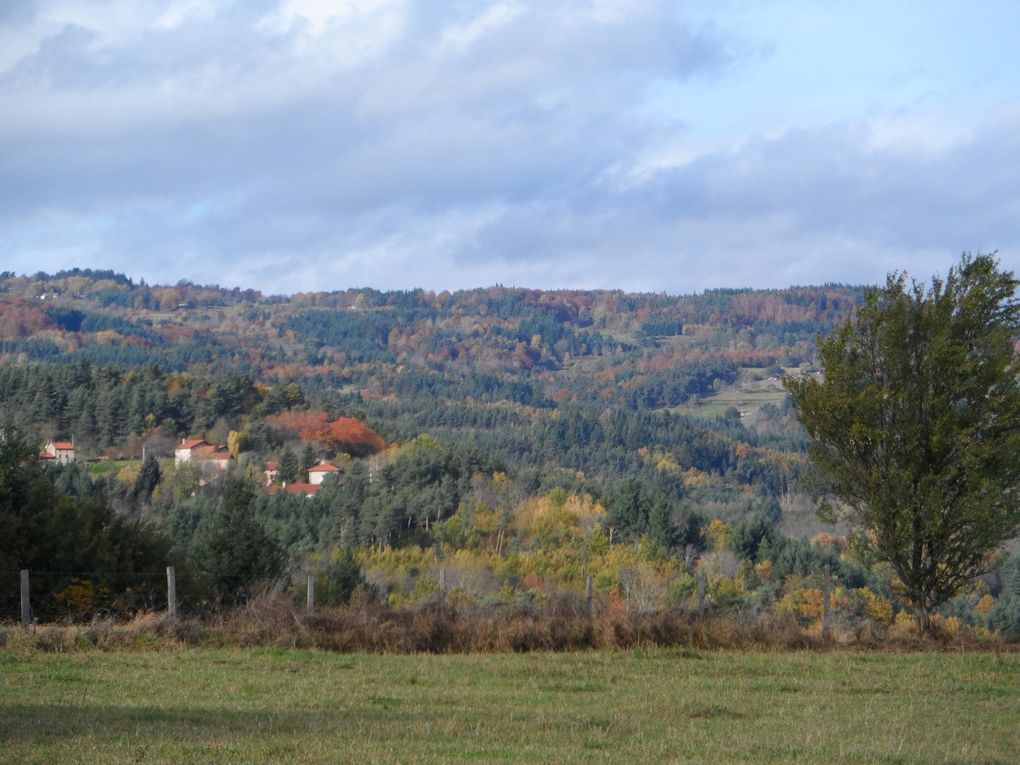 Les paysages des monts du Forez sont toujours aussi somptueux.