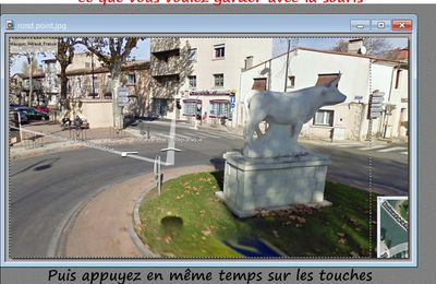 Apprendre à travailler sur des photos