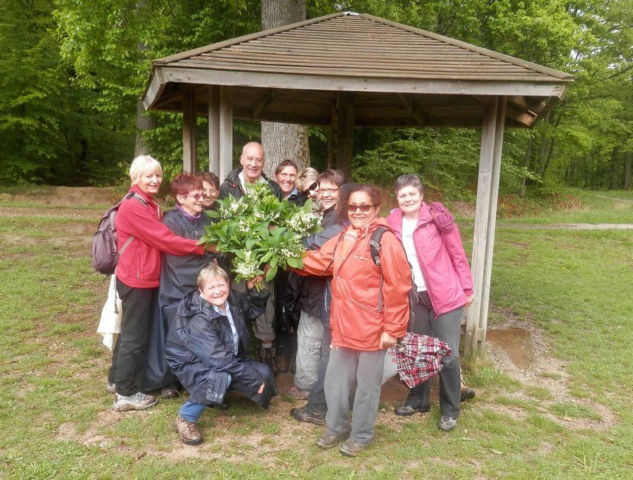 Le 1er Mai dans la forêt de Malvoisine