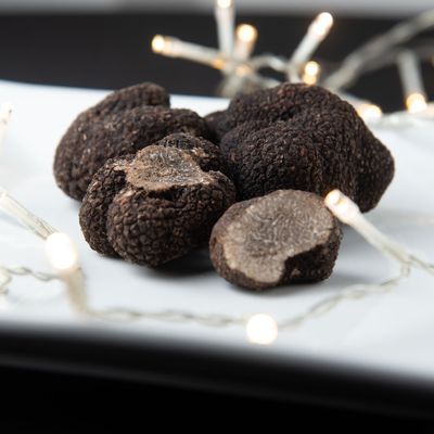 La Truffe : Un Diamant Noir De La Gastronomie Française Et Italienne