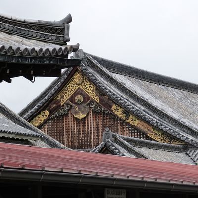 Kyōto Life