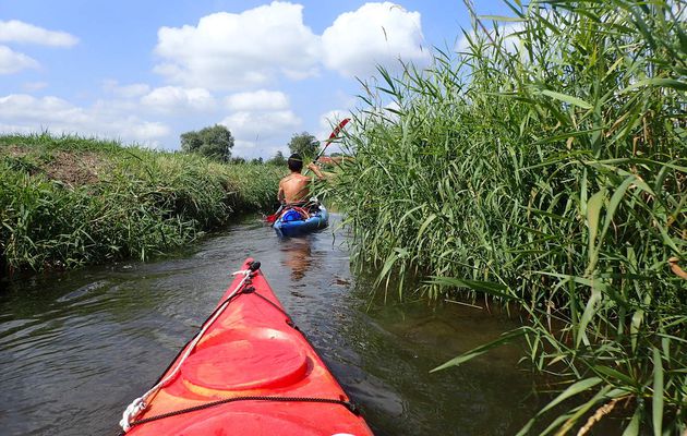 Balade sur la Taute et le Lozon à partir de Tribéhou