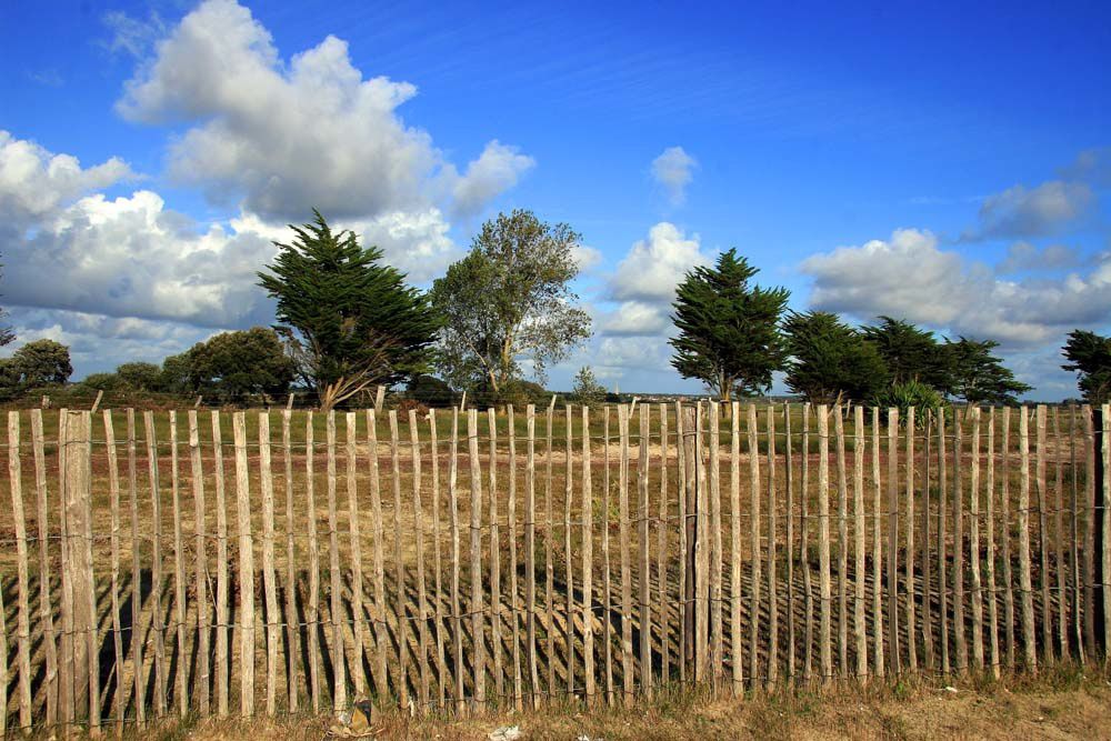 Album - Sentier de Douaniers