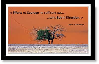 Effort et courage ne suffisent pas toujours...