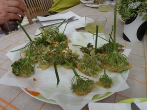 Prochaine journée cuisine sauvage !