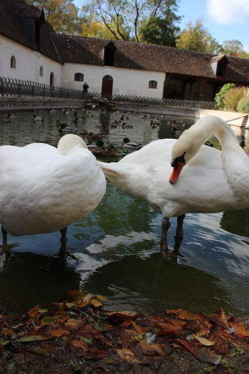 Chenonceau