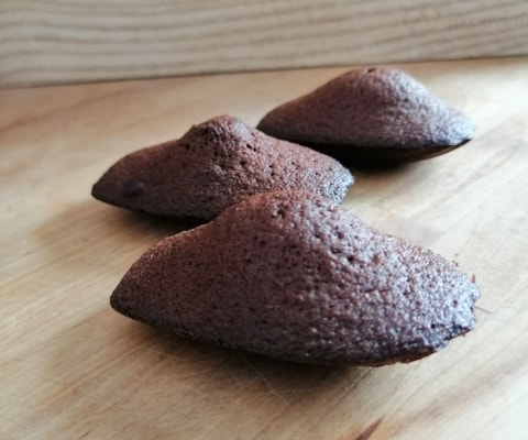 Mes Madeleines au chocolat