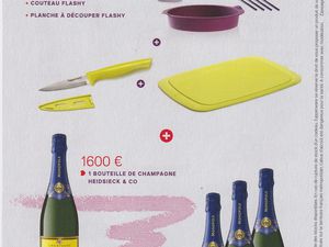 En tant que consellière culinaire en plus de nos commissions quand nous travaillons nous gagnons aussi des cadeaux : des produits tupperware (nouveautés) et des produits non tupperware. On en a de la chance !!!!