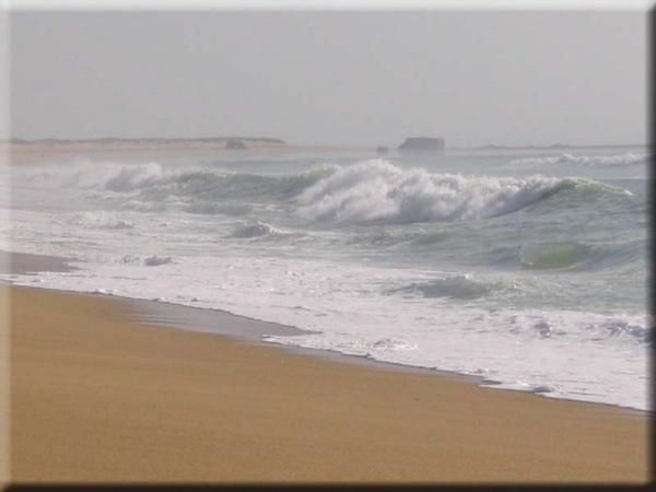 <strong><em>Promenade sur les plages de Bretagne ....</em></strong>