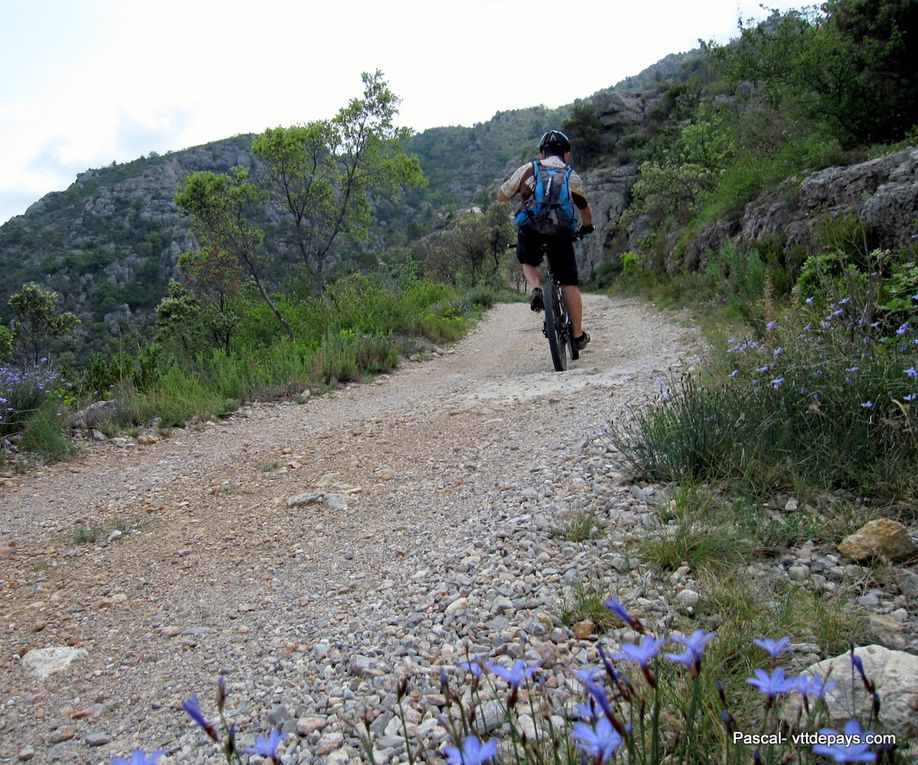 Album - Autour-du-Mont-St-Baudille