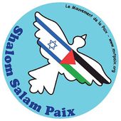 Rassemblement du 4 novembre 2023 à Tulle pour la Paix en Palestine 