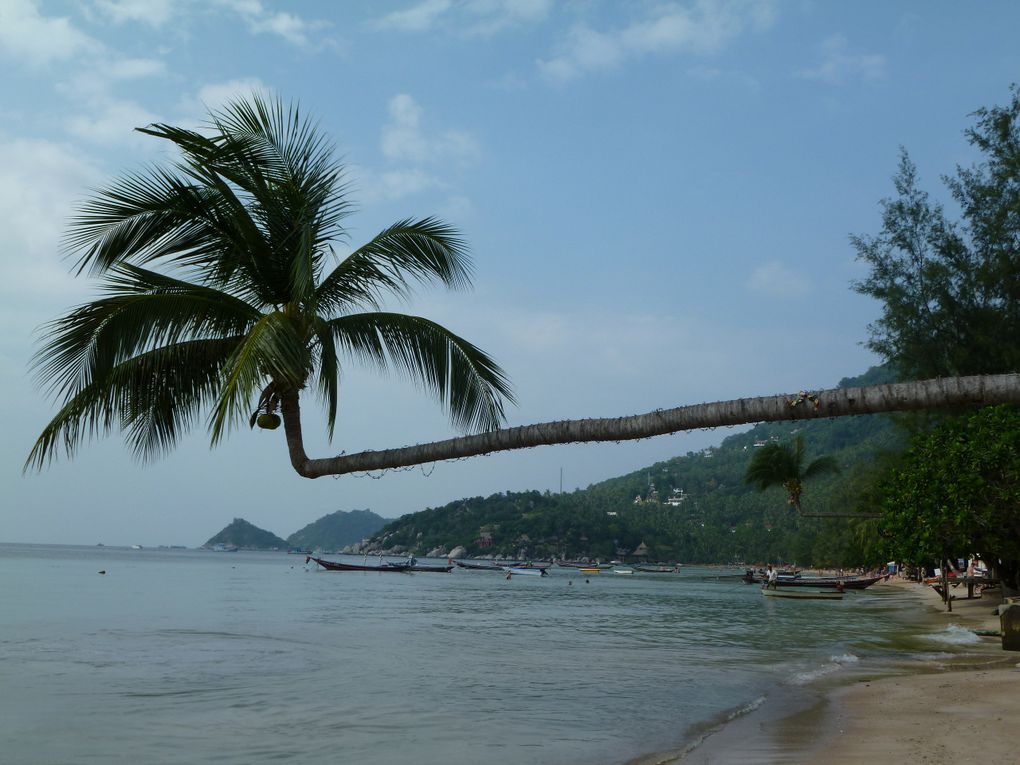 Album - Thailande-Koh-Tao