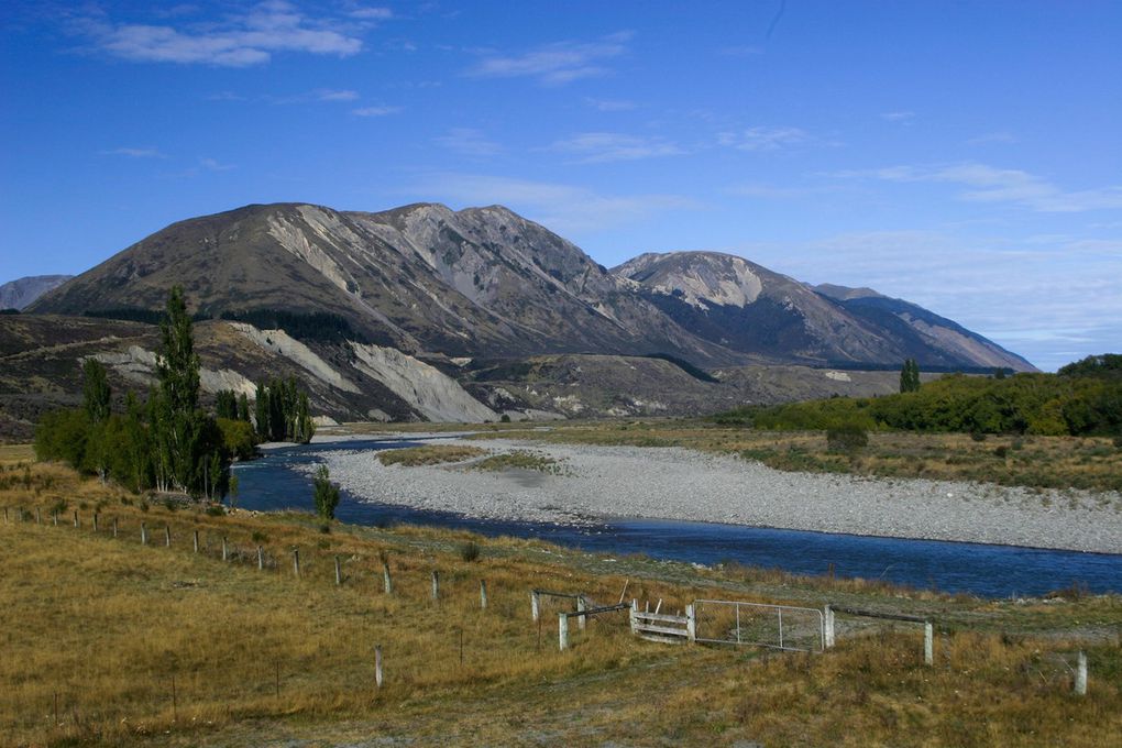 Victoria Forest Park - Hammer Springs - Kaukura