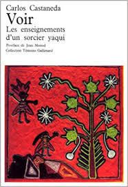 Voir, Carlos Castaneda, extraits.