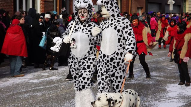 Bailleul :Carnaval 2013