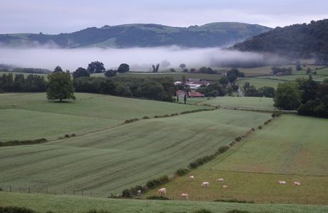 Ostabat.- Saint Jean Pied de port. 24 km