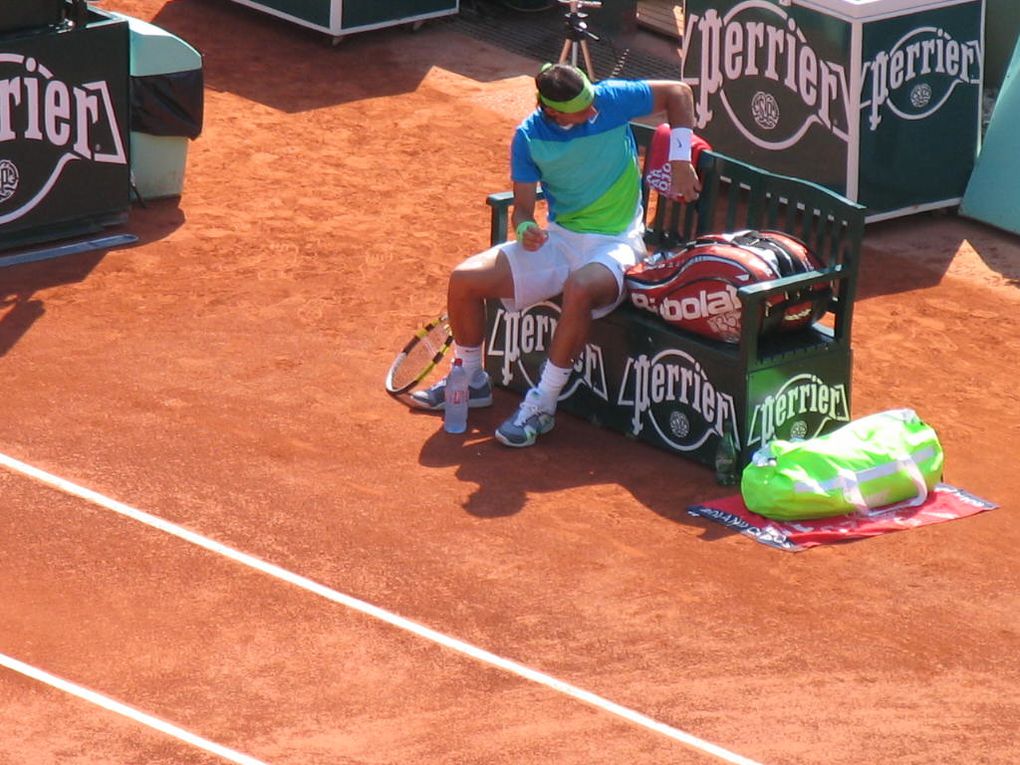 Photos prises lors des demi-finales Soderling-Berdych et Nadal-Melzer à Roland Garros 2010.