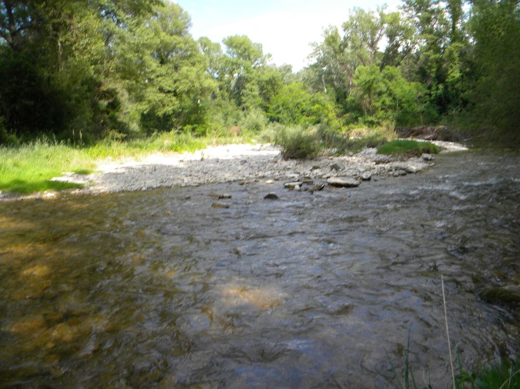 Diaporama