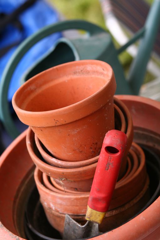 Images du troc-graines de printemps organisé chaque année fin mars, début avril. Il permet à tous d'échanger idées, boutures et secrets botaniques personnels !