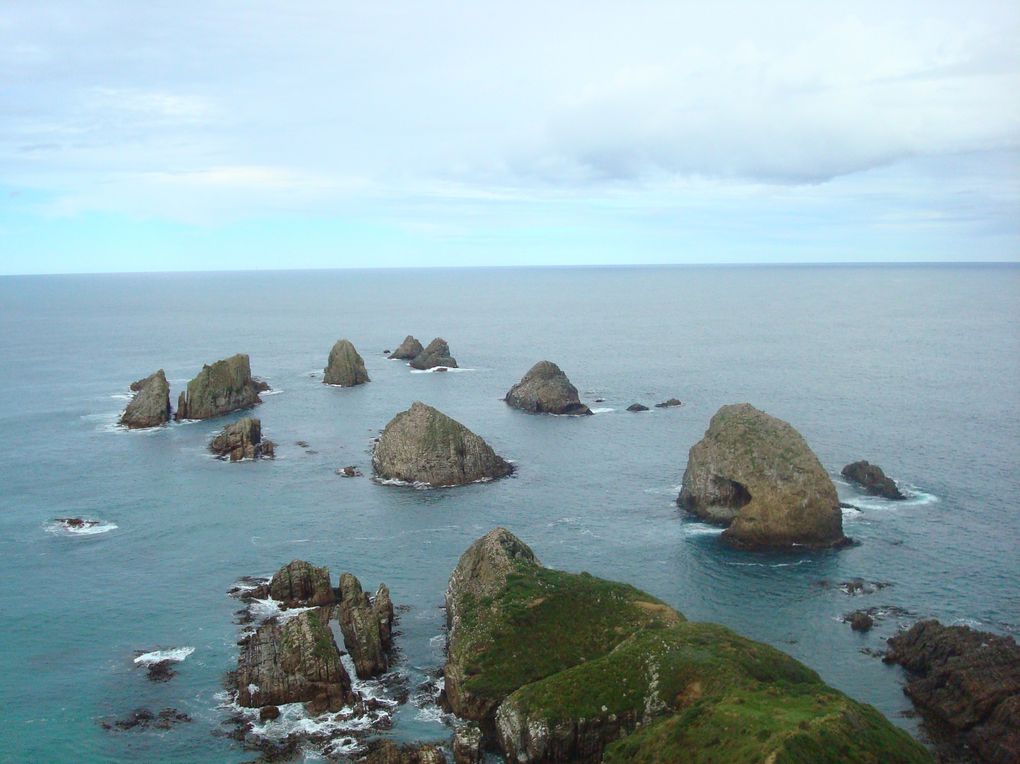 ou la bretagne de nouvelle zélande: il pleut tous les jours