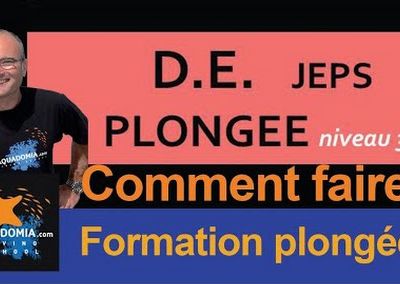 Comment passer le DEJEP plongée et choisir son stage en entreprise ?
