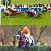 meilleures cotes pour le quinté du vendredi 27 juin 2014 à vincennes départ à 20h25 