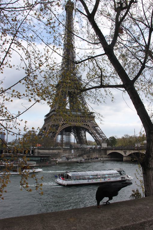 Pont d'Iéna (1808-1814), passerelle Debilly (1899-1900) piétonne