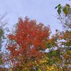 Les couleurs au mont Tremblant