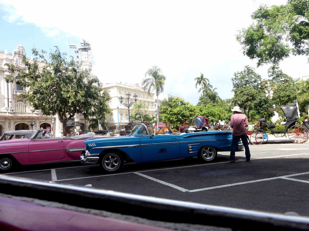 Le voyage à Cuba touche à sa fin : voici les belles américaines !