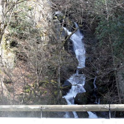 21 Mars 2012 - C'est le Printemps