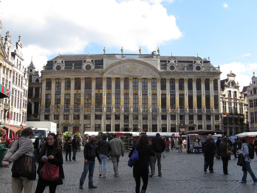 Quelques clichés de la Grand-Place de Bruxelles ensoleillée.