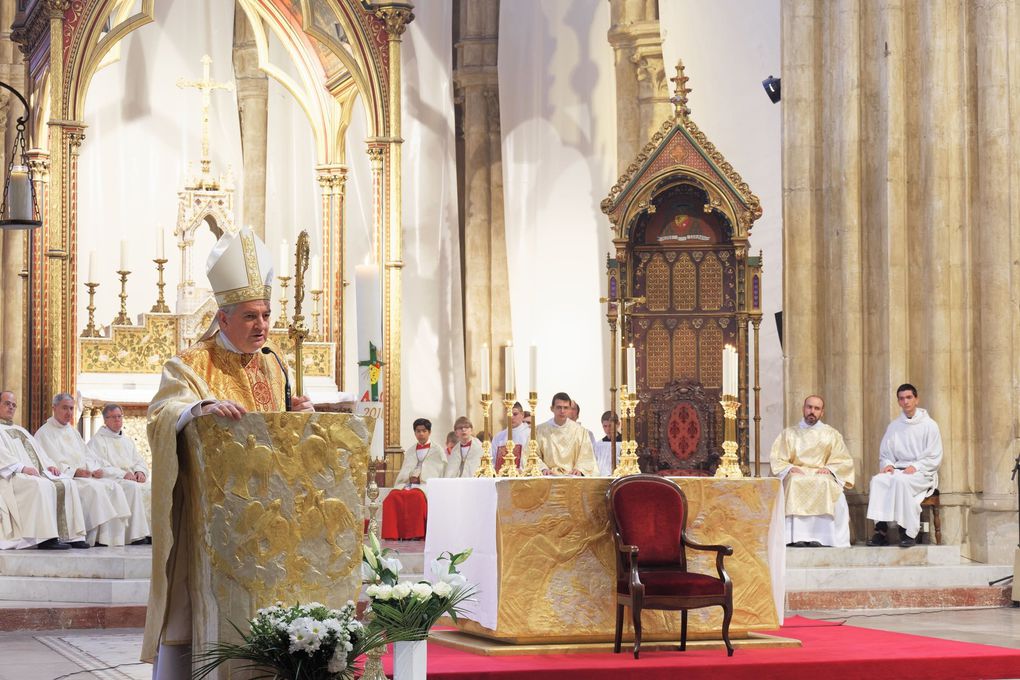 Photos de l'ordination sacerdotale de Maximim Cès le 1er mai 2018 à Bayonne