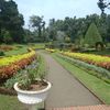 Der Botanische Garten von Peradeniya bei Kandy