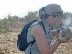 Afrique du sud 2018/8     Vers le parc Kruger