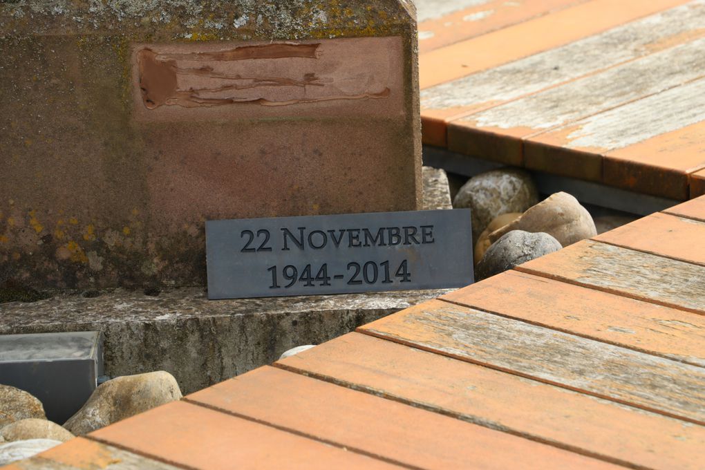 Promenade à Steinbourg