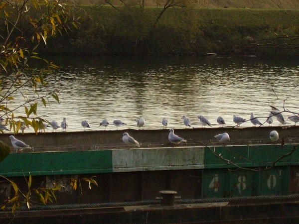 Album - Argenteuil