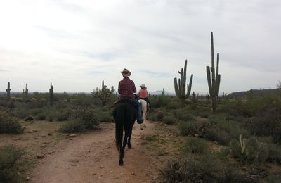 Usery Mountain - Blevins trail et Cat peaks trail