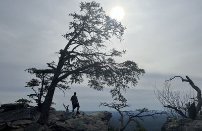 Réaction, Action, Spontanéité 3