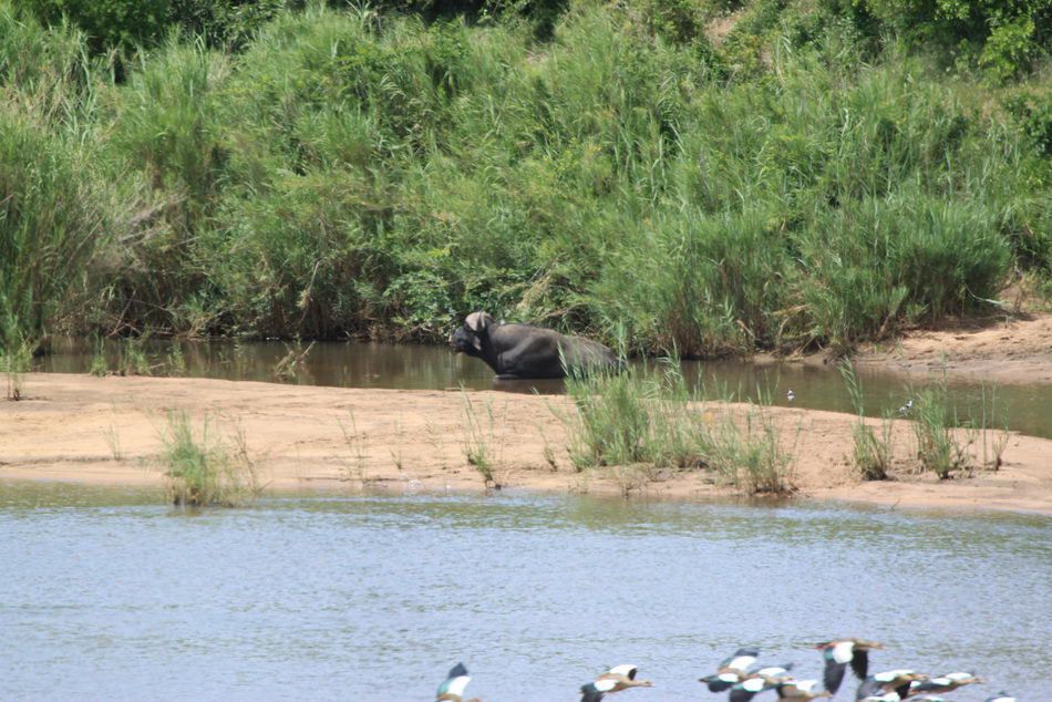 Album - Suedafrika