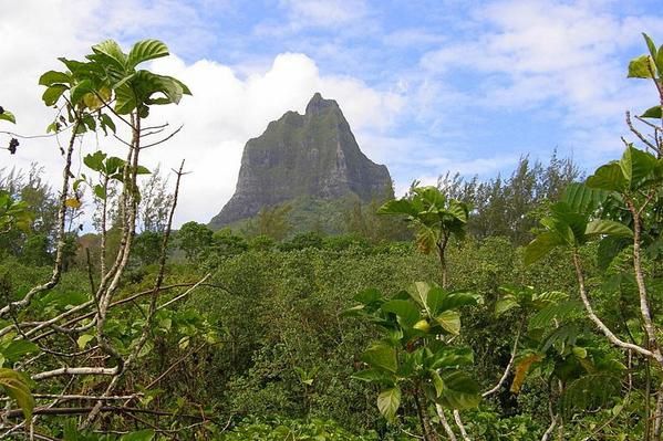 Album - Week-end---MOOREA