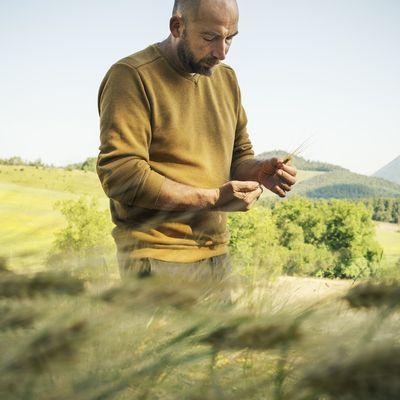 Whisky et terroir: une nouvelle voie à la française explorée par Frédéric Révol fondateur des Hauts de Glace en Isère