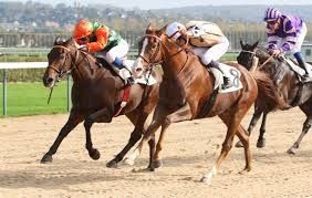 Mercredi 14 Août  2019 Clairefontaine - C 1— Quinté 