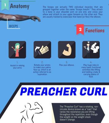 Infographic: All About the Preacher Curl