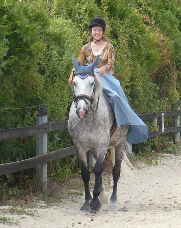 un cheval en pension pour deux mois, quelques séances de dressage en amazone ou à califourchon, un cheval au pré...Kitano, dit Lulu!