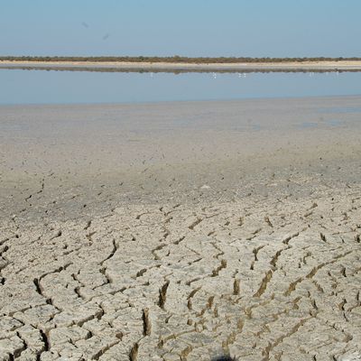 Etosha