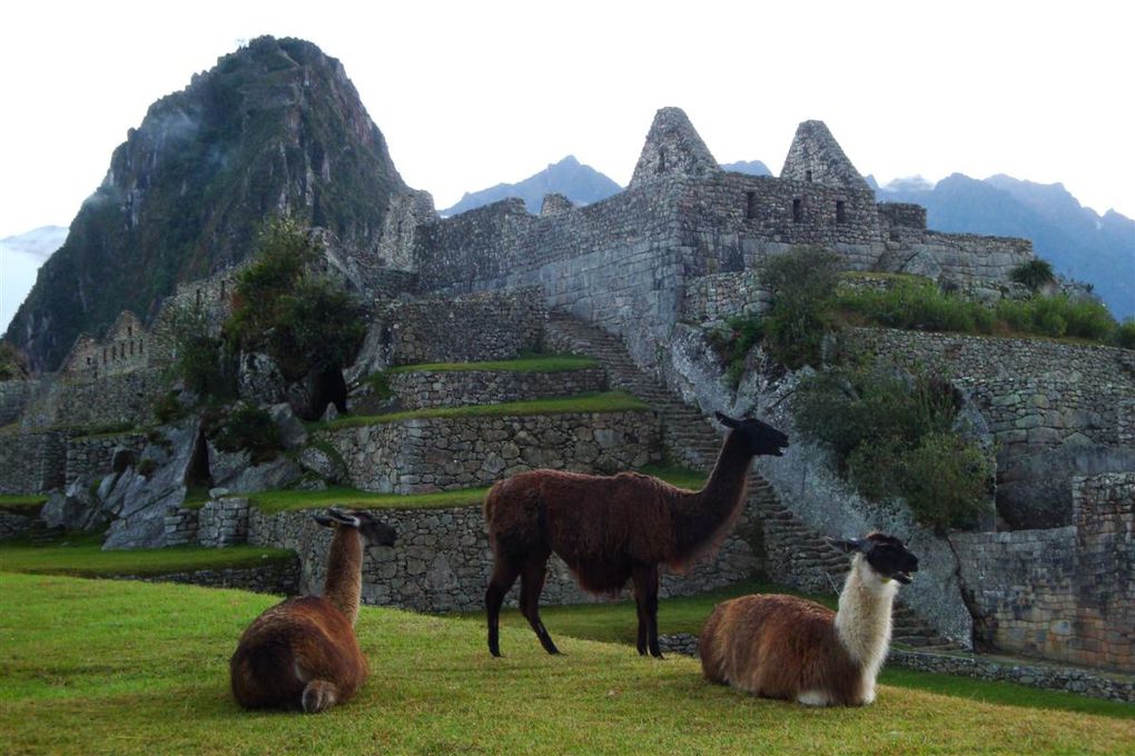 Album - 51.Machu-Pichu (Perú)