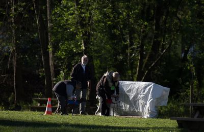 PVL de NE du whippet à Dallet