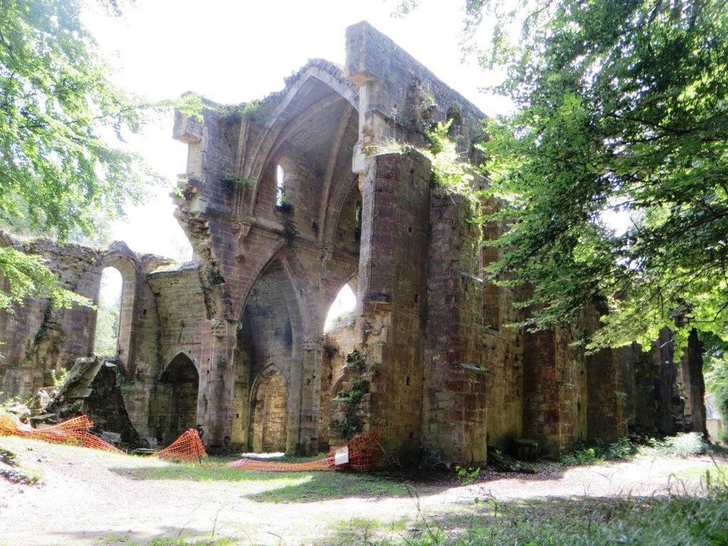 (re)découverte de l'Abbaye de Trois Fontaines